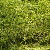 herbe (750 kg)